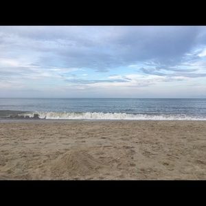 Meet your Posher, Joanie